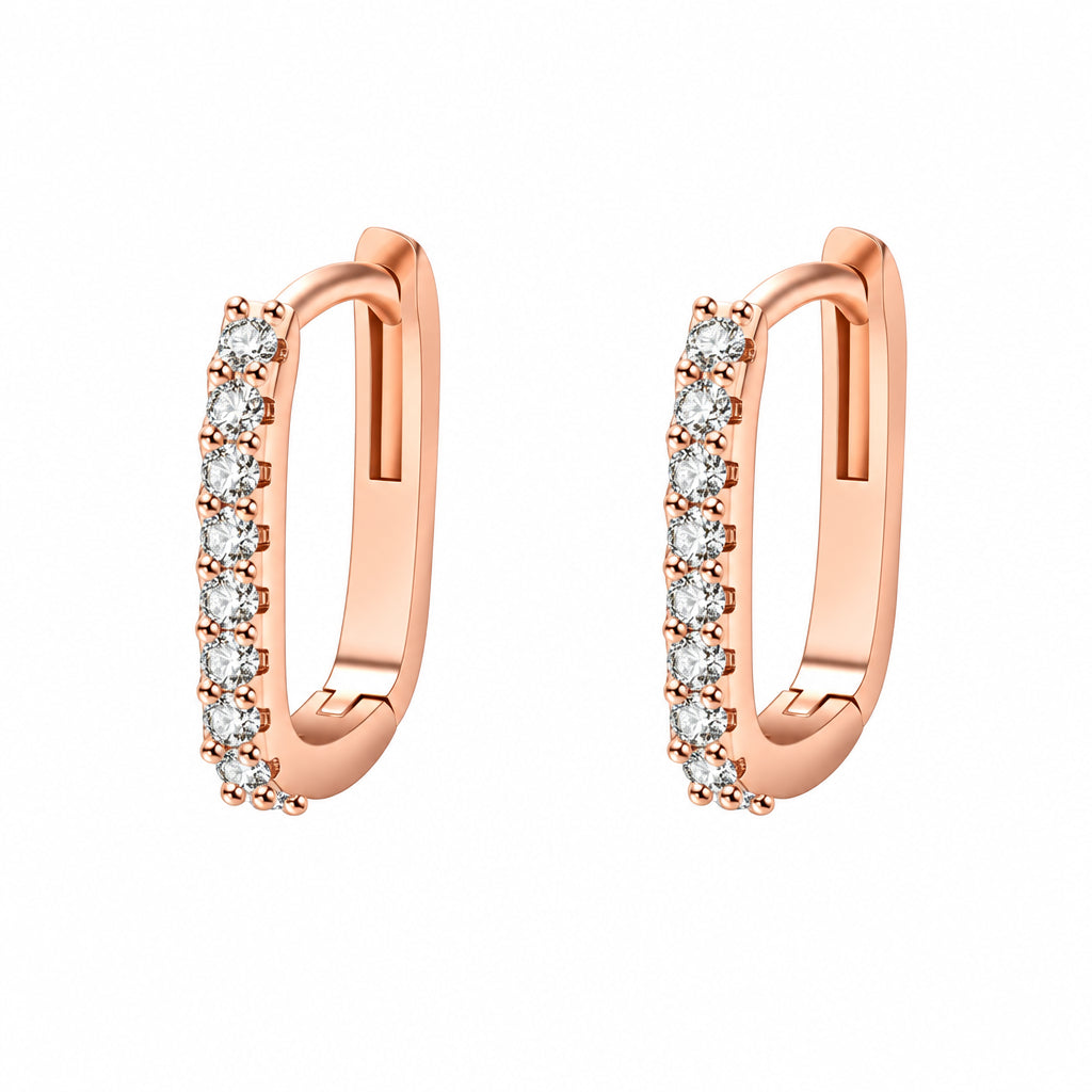 Elegant Earrings