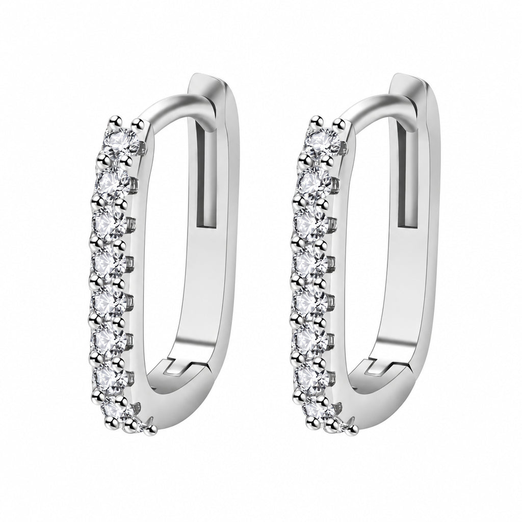 Elegant Earrings